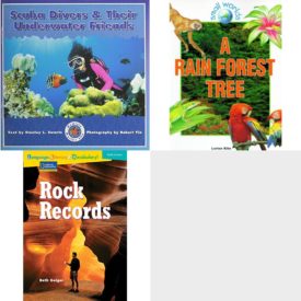 Children's Fun & Educational 4 Pack Paperback Book Bundle (Ages 6-12): Scuba Divers & Their Underwater Friends Dominie Marine Life Young Readers, A Rain Forest Tree Small Worlds, Rock Records Avenues, KING MIDAS &..GOLDEN TOUCH 6PK Dominie Collection of Traditional Tales