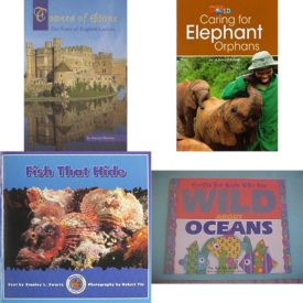 Children's Fun & Educational 4 Pack Paperback Book Bundle (Ages 6-12): Towers of Stone: The Story of English Castles Scott Foresman Reading: Orange Level, Our World Readers: Caring for Elephant Orphans: American English, Fish That Hide Dominie Marine Life Young Readers, Crafts for Kids Who Are Wild About Oceans