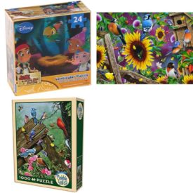 Assorted Puzzles 4 Pack Bundle: Cardinal Disney Jake and The Neverland Pirates Lenticular Puzzle, SunsOut Fenceline Birds 500 Piece Jigsaw Puzzle Artist Jerry Gadamaus, Cobble Hill 1000 Piece Puzzle - Birds of The Forest, Vintage Hoyle Products I Heart Lady Bugs 1020pc Jigsaw Puzzle