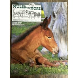 Mules and More - Jun. 2010 Vol. 20 Issue 8 (Back Issue Magazine)