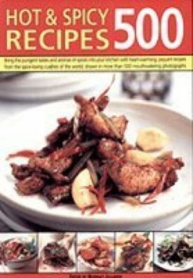 Hot & Spicy Recipes 500 (Paperback)
