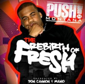 Rebirth of Fresh (Music CD)