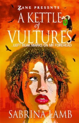 A Kettle of Vultures: . . . left beak marks on my forehead (Paperback)