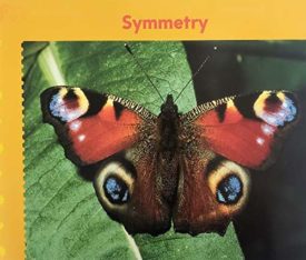Symmetry (Paperback) by Jack Beers