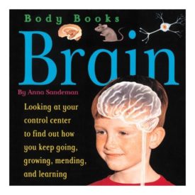 Brain (Paperback) by Anna Sandeman