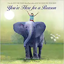 You're Here for a Reason (Hardcover) by Nancy Tillman