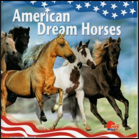 American Dream Horses (Hardcover)