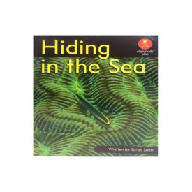 Hiding in the Sea (Paperback) by Sarah Smith