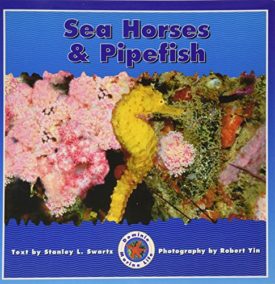 Sea Horses & Pipefish (Paperback)