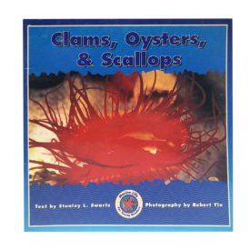 Clams, Oysters, & Scallops (Paperback)