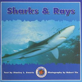 Sharks & Rays (Paperback) by Stanley L. Swartz
