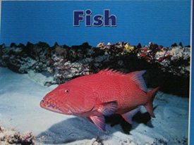 Fish (Paperback) by Stanley L. Swartz