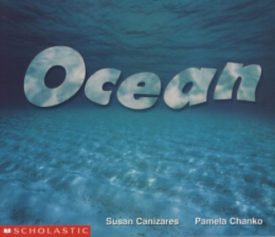 Ocean (Paperback) by Susan Canizares,Pamela Chanko