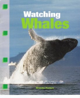 Watching Whales (Paperback) by Brenda Parkes