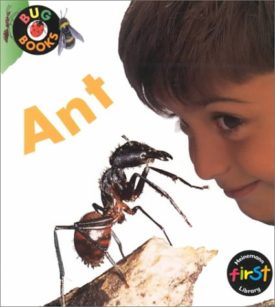 Ant (Paperback) by Karen Hartley,Chris Macro