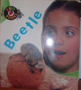 Beetle (Paperback) by Karen Hartley,Chris Macro,Philip Taylor
