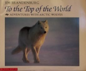 To the Top of the World (Paperback) by Jim Brandenburg