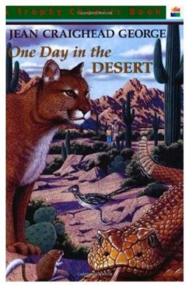 One Day in the Desert (Paperback) by Jean Craighead George
