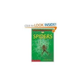 Spiders (Paperback) by Carolyn Otto