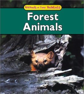 Forest Animals (Paperback) by Francine Galko