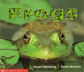 Frogs (Paperback) by Susan Canizares,Daniel Moreton