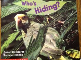 Who's Hiding? (Paperback) by Susan Canizares,Pamela Chanko