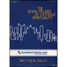 The Seven Pillars of Catholic Spirituality (DVD)