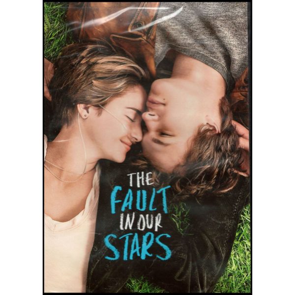 DVD Assorted Romance Movies DVD 4 Pack Fun Gift Bundle: The Fault In Our Stars  1 Mile to You  Feast of Love  Four of Hearts