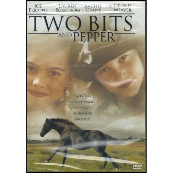 DVD Assorted Movies 4 Pack Fun Gift Bundle: Two Bits and Pepper  National Lampoon - Lost Reality 2: More of the Worst  Cryptic  Convict 762
