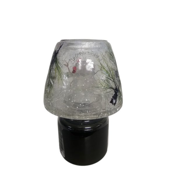 Holiday 2012 Yankee Candle Mistletoe Jar Candle & 3" Welcome Winter Shade Gift Box