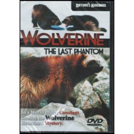 Wolverine - The Last Phantom (DVD)
