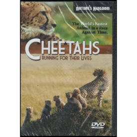Cheetahs Running for their Lives (DVD)