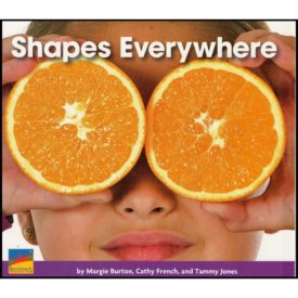 Shapes Everywhere (Paperback)