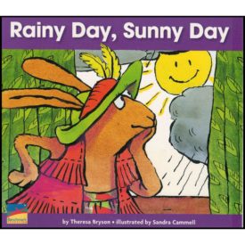 Rainy Day, Sunny Day (Paperback)
