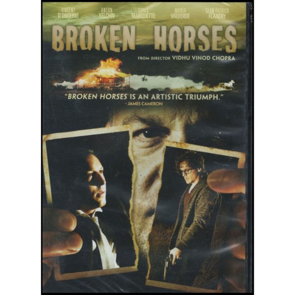 DVD Assorted Movies 4 Pack Fun Gift Bundle: Lara Croft: Tomb Raider  G.I. Jesus  Haven  Broken Horses