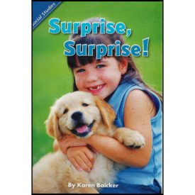 Scott Foresman Reading Street: Content Literacy Reader Grade 1 - Social Studies: Surprise Surprise! (Paperback)