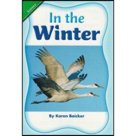 Scott Foresman Reading Street: Content Literacy Reader Grade 1 - Science: In the Winter (Paperback)